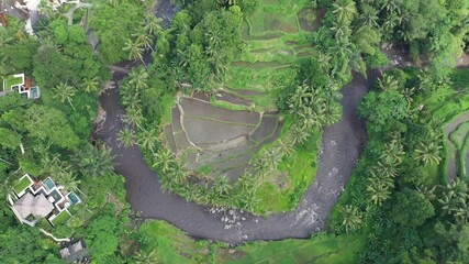 Canvas Print - Beautiful view of rice terraces and rafting river of Sayan Village, Ubud, Bali.