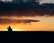 © scott - Cowboy at Sunset
