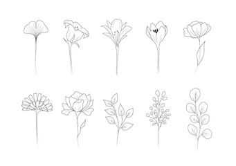 Wall Mural - Collection of linear flowers. Abstract minimalistic design for logo, wedding invitations, postcards, textile. Modern vector illustration.