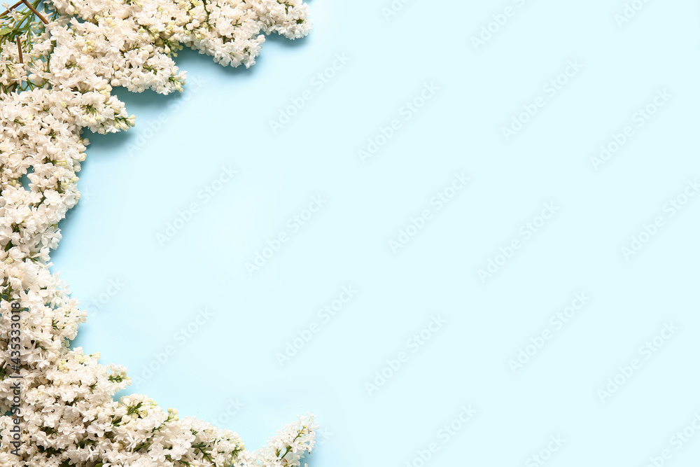 Beautiful lilac flowers on color background