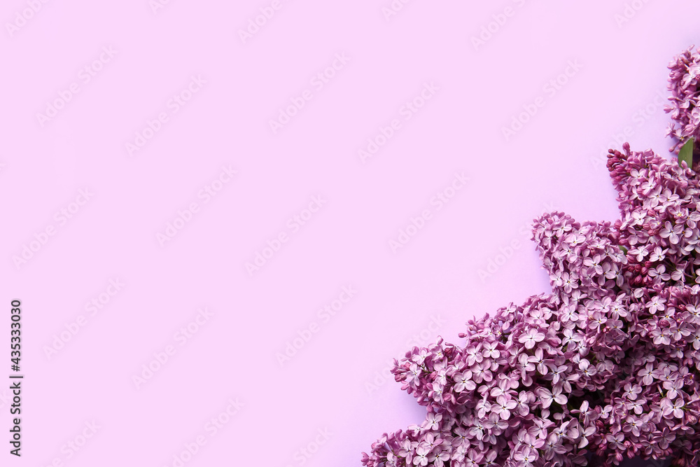 Beautiful lilac flowers on color background