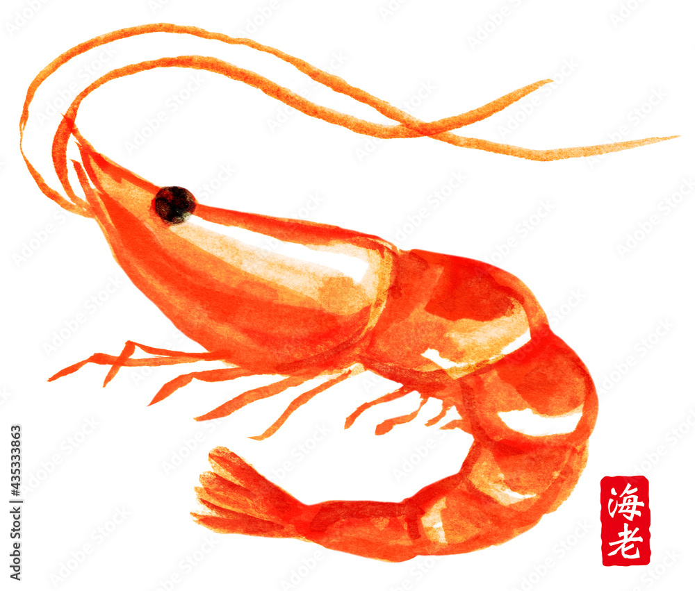 筆で描いた海老の絵と漢字で書いた「海老」の落款 の Stock
