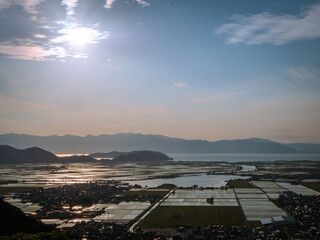 Wall Mural - 太陽光が反射する水田の風景