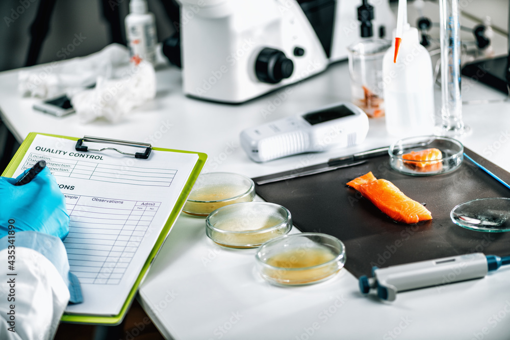 Food Safety and Quality Management. Inspector Filling Out Quality ...