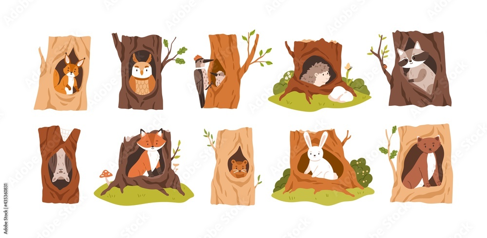 Set of animals and birds inside hollows. Squirrel, owl, woodpecker, hedgehog, raccoon, bat, fox, beaver, hare, and weasel in tree hole houses. Flat vector illustration isolated on white background - obrazy, fototapety, plakaty 