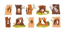 Set Of Animals And Birds Inside Hollows. Squirrel, Owl, Woodpecker, Hedgehog, Raccoon, Bat, Fox, Beaver, Hare, And Weasel In Tree Hole Houses. Flat Vector Illustration Isolated On White Background