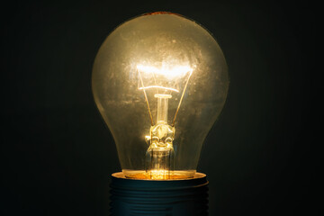 Canvas Print - Glowing glass light bulb on dark background