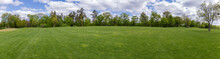 Big Glade With Trees On Background In Park, Panoramic View
