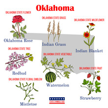 Oklahoma. Set Of USA Official State Symbols