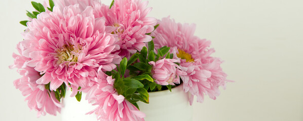 Wall Mural - pink asters on a light beige background