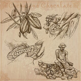 Fototapeta Konie - Cocoa harvesting and processing. Agriculture. An hand drawn vector illustrations on an vintage background.