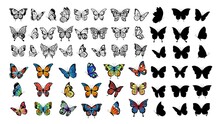 Butterfly Collection. Drawing Butterflies, Silhouette And Color Flying Insects. Spring Animals, Wild Meadow Or Forest Characters Vector Set