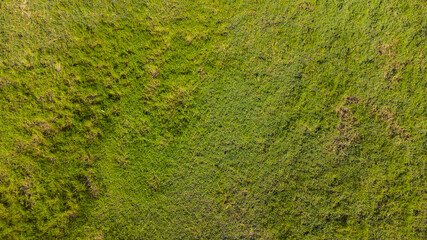 Bird eye view of big green field. There are a green and yellow gress as background.