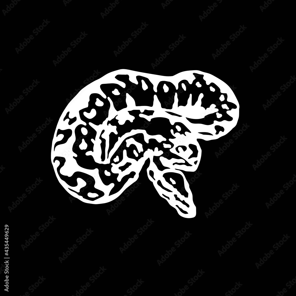 ball python svg | premium ai-generated vector Images... Vector de Stock Ball python vector. Snake SVG T shirt design. Download ...