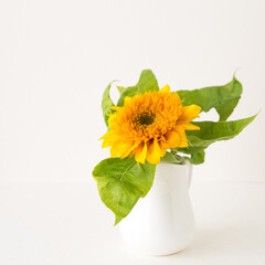 Wall Mural - sunflower  in a vase on a light background
