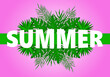 © Anastasia - Summer banner with palm leaves and text.