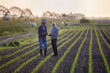 Two farmers standing in corn field talking.