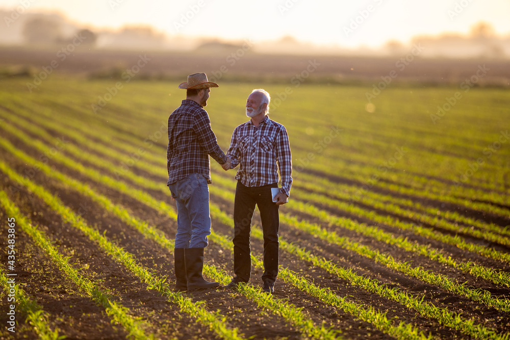 Two men shaking hands in corn field reaching agreement. - obrazy, fototapety, plakaty 