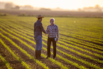 Sticker - Two men shaking hands in corn field reaching agreement.