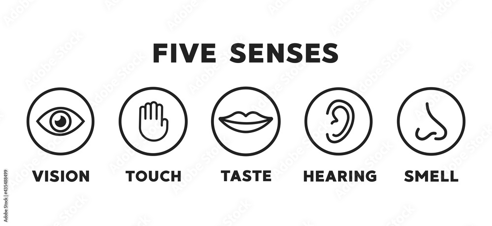 Five senses vector icons set. vision, hearing, touch, taste, smell - obrazy, fototapety, plakaty 