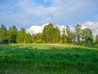 broken summer clouds over countryside fields and meadows in summer with yellow flowers