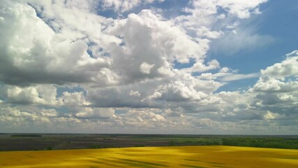 Canvas Print - Clouds running above the yellow canola field. Aerial hyperlapse