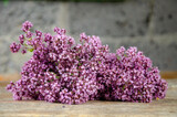 Fototapeta Kwiaty - Spring flowers. Lilac flowers on wooden background