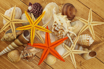 Wall Mural - Sea shells and colorfully painted Starfishes on brown wooden background. Top down view. Closeup