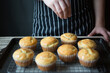 © Stacy Howell - Lemon poppy seed muffins
