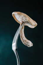 Closeup Of Mushroom On Fork