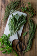 © Stacy Howell - Assortment of herbs on a cutting board