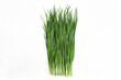 Fresh Chinese chives,Garlic chives on white background