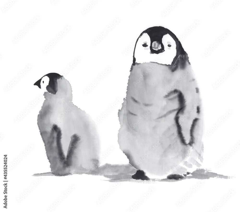 皇帝ペンギン 雛 水墨画イラスト の Stock イラスト | Adobe Stock