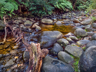 Wood Into Stream