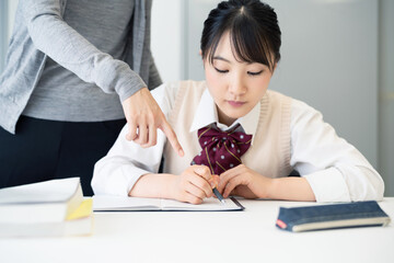 勉強する女子学生　学習塾　個別指導　家庭教師