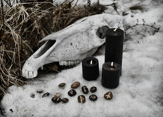 Wall Mural - Runes, horse skull and burning black candles outside on snow.