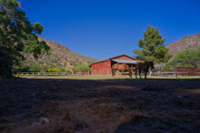 Two Horses With A Barn And Mountains In The Background.