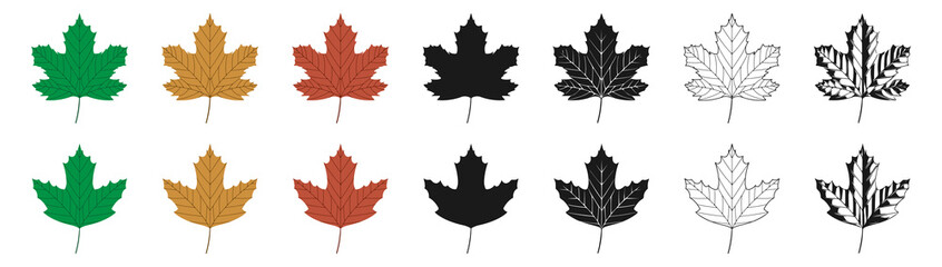 Wall Mural - Vector illustration of green, yellow and red sycamore leaves in different styles, isolated on a white background. Maple leaf clip art.