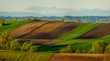 Fototapeta Krajobraz - spring panorama of fields on farmland cultivated extensively and ecologically