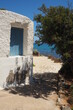 Stary biały budynek z niebieskimi drzwiami nad morzem na Krecie, Grecja 
