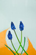 Flatlay of three blue flowers in orange frame, put on wet glass surface with drops of water which disrupt a color of background. Place for text above.