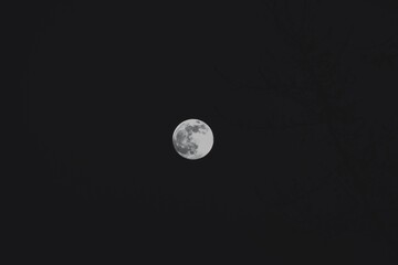 moon, monochrome, night shot, moonlight