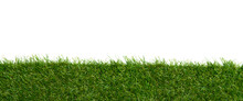 Green Grass Borders For Decoration And Covering On White Background