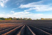 Agricultural Field With Even Rows In The Spring