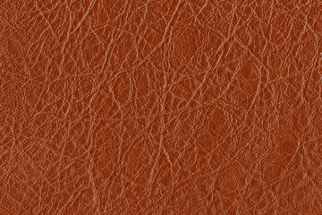 Wall Mural - abstract leather texture on classic brown background.