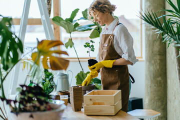 Amazing blond romantic woman gardener in yellow household gloves holding young green seedling or plant in soil during planting at bigger pot. Home gardening, love of plants and care concept.