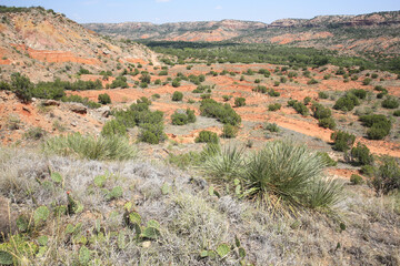 Poster - Palo Duro Canyon State Park in Texas, USA