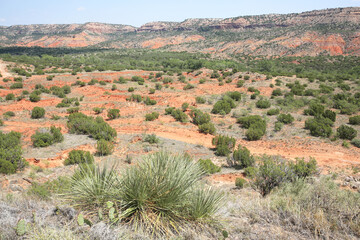 Wall Mural - Palo Duro Canyon State Park in Texas, USA