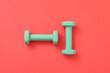 © Patricia Núñez - Green dumbbells to do physical sports at home