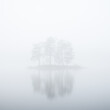 Reflection of trees on misty island